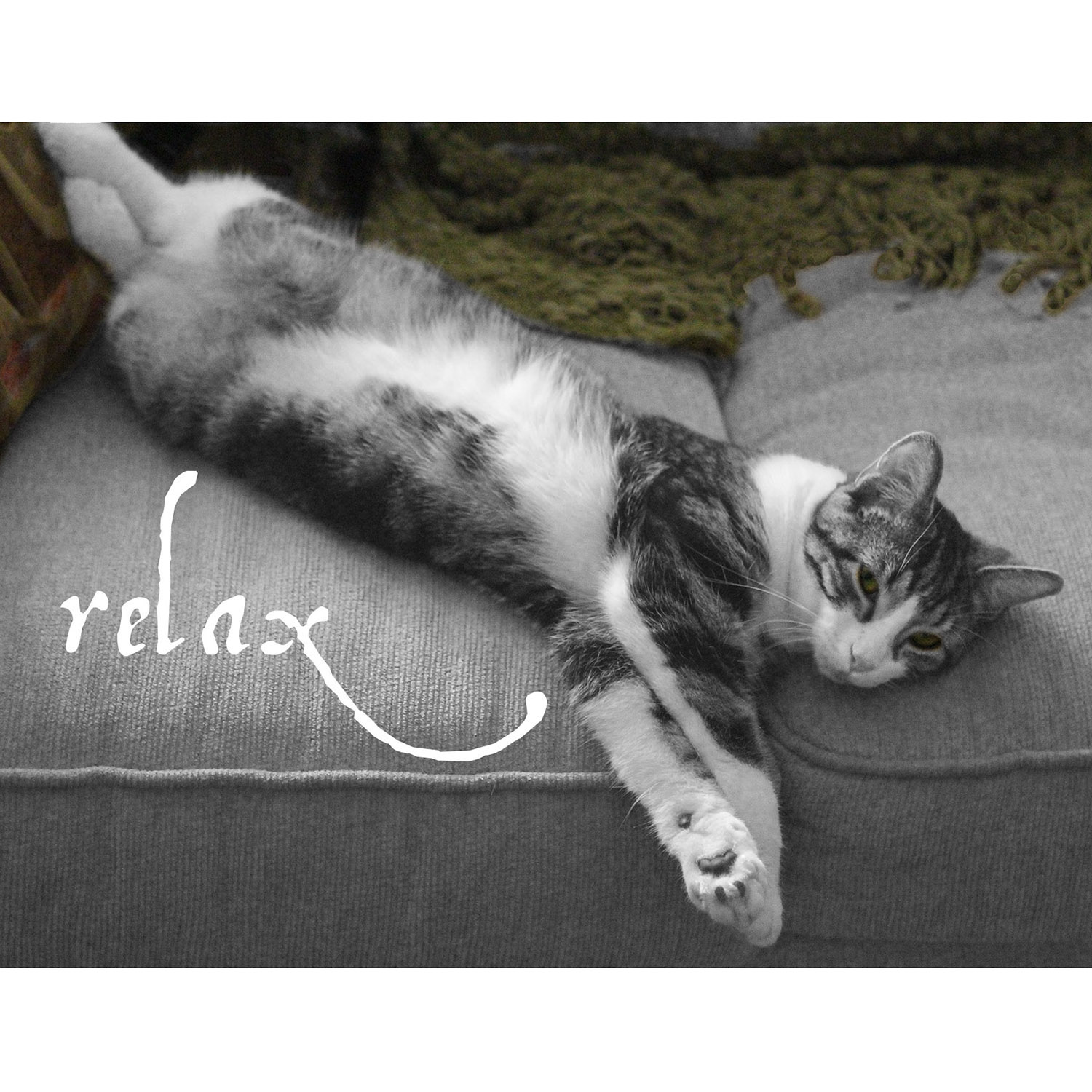 Relax