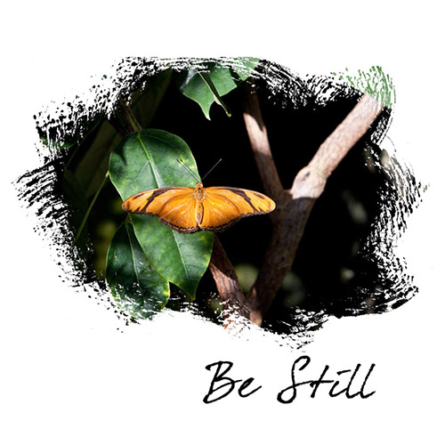 Be Still