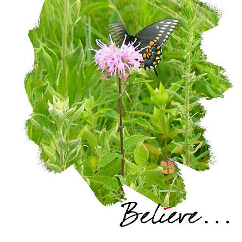Believe